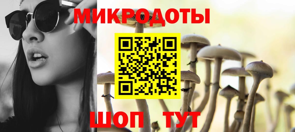 как найти наркотики  Вход с VPN  Галлюциногенные грибы Magic Shrooms  Клинцы  Псилоцибиновые грибы Magic Shrooms 